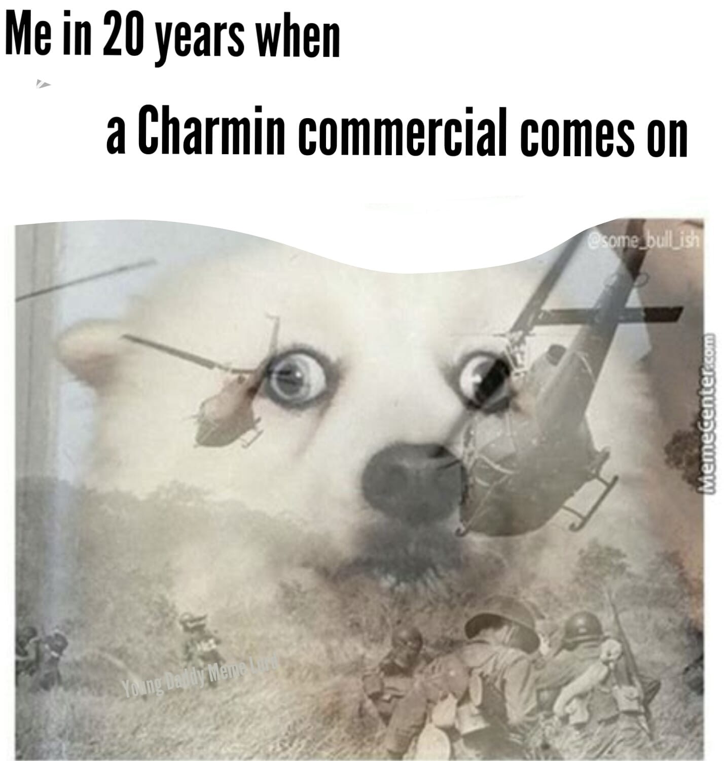 your dog hears the doorbell ring - Me in 20 years when a Charmin commercial comes on bullish memecenter.com Young Day ay me