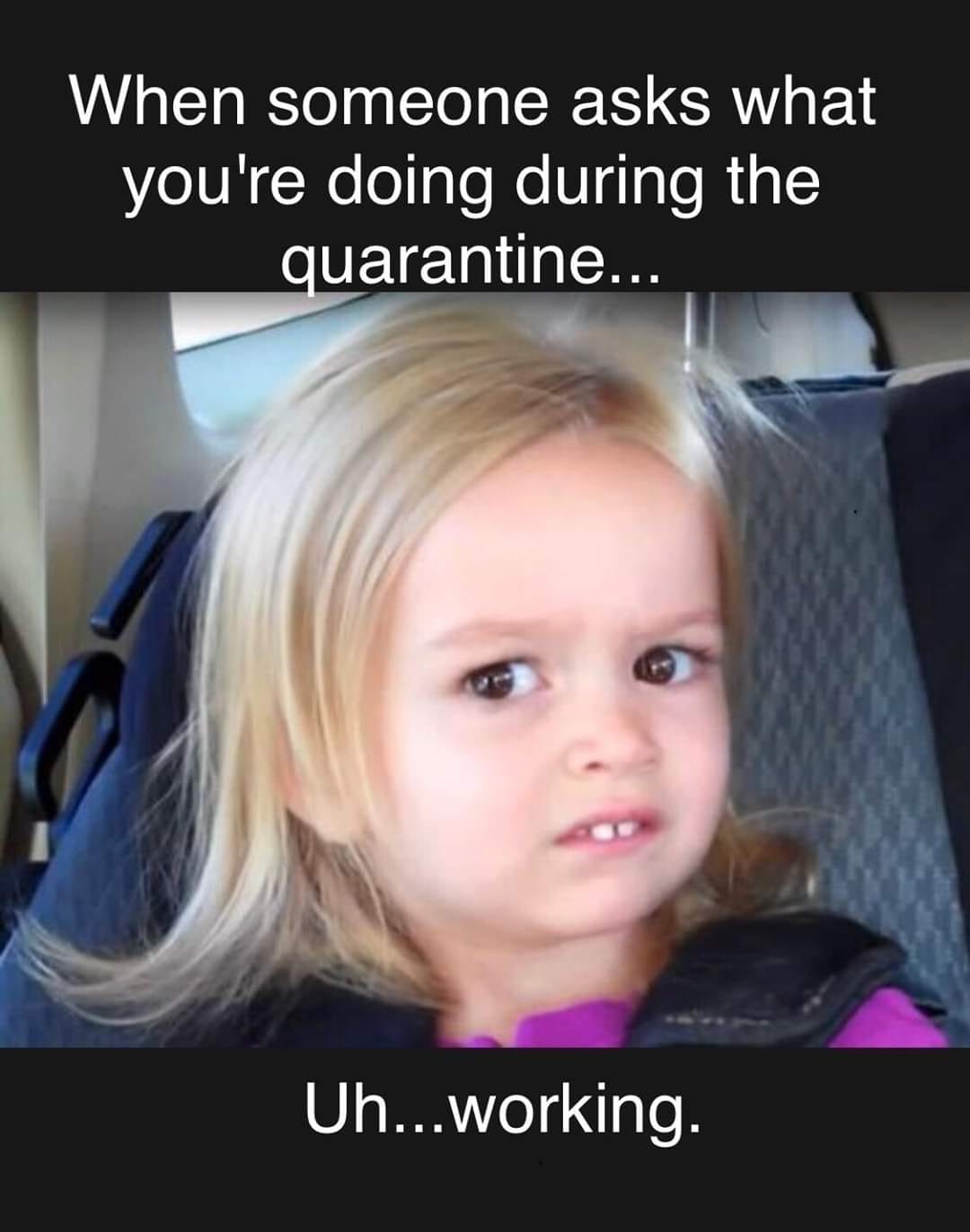 famous memes - When someone asks what you're doing during the quarantine... Uh...working.