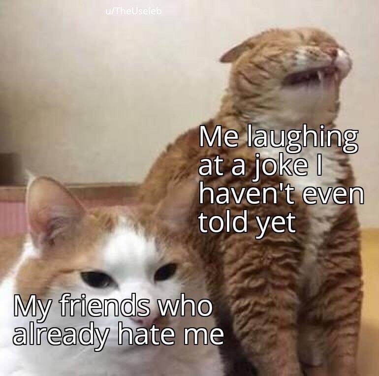 me laughing at my own joke cat meme - uTheUseleb Me laughing at a joke l 3 haven't even told yet My friends who already hate me