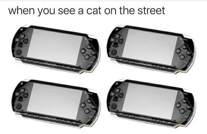 psp transparent background - when you see a cat on the street
