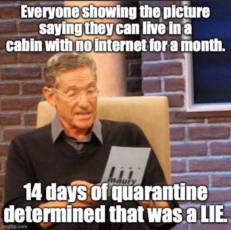 shaun meme - Everyone showing the picture saying they can live in a cabin with no internet for a month. maury 14 days of quarantine determined that was a Lie. imgflip.com