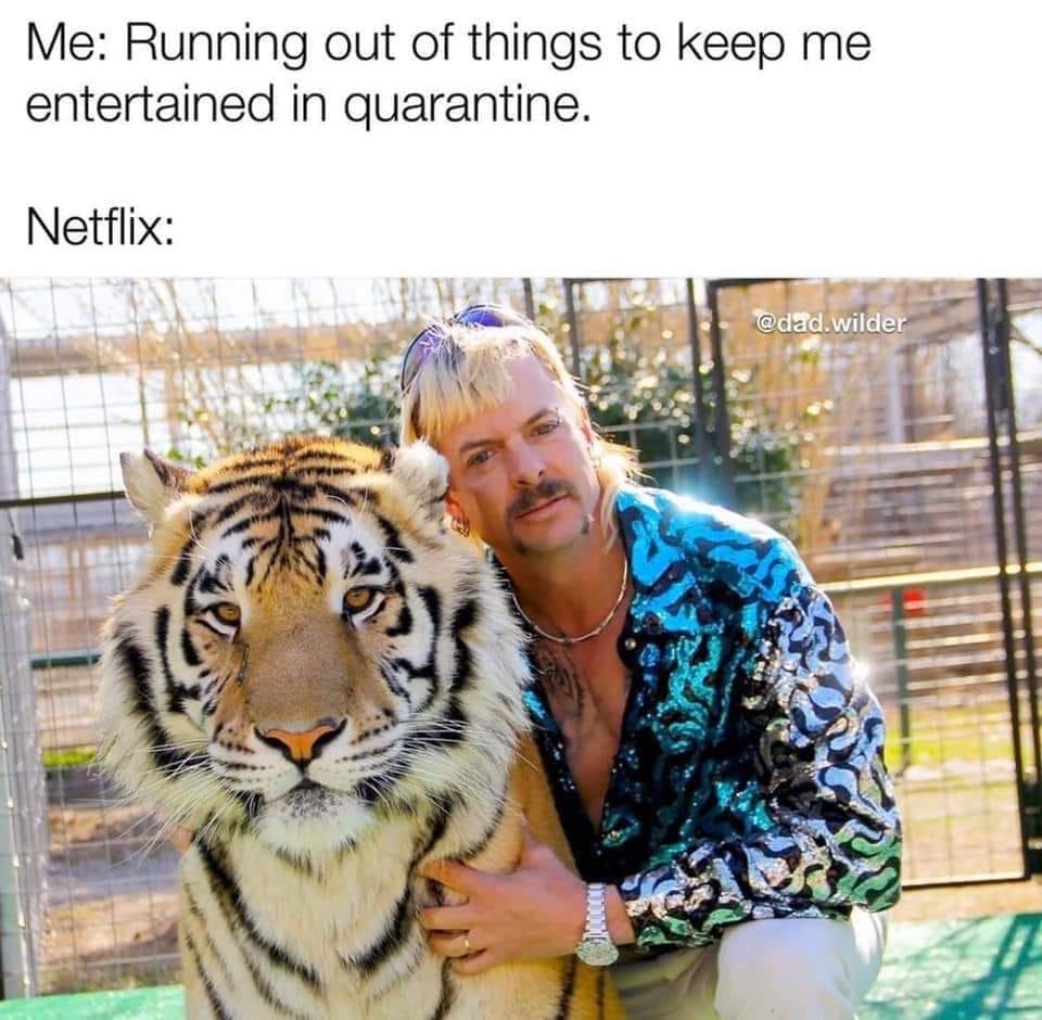 tiger king netflix - Me Running out of things to keep me entertained in quarantine. Netflix .wilder