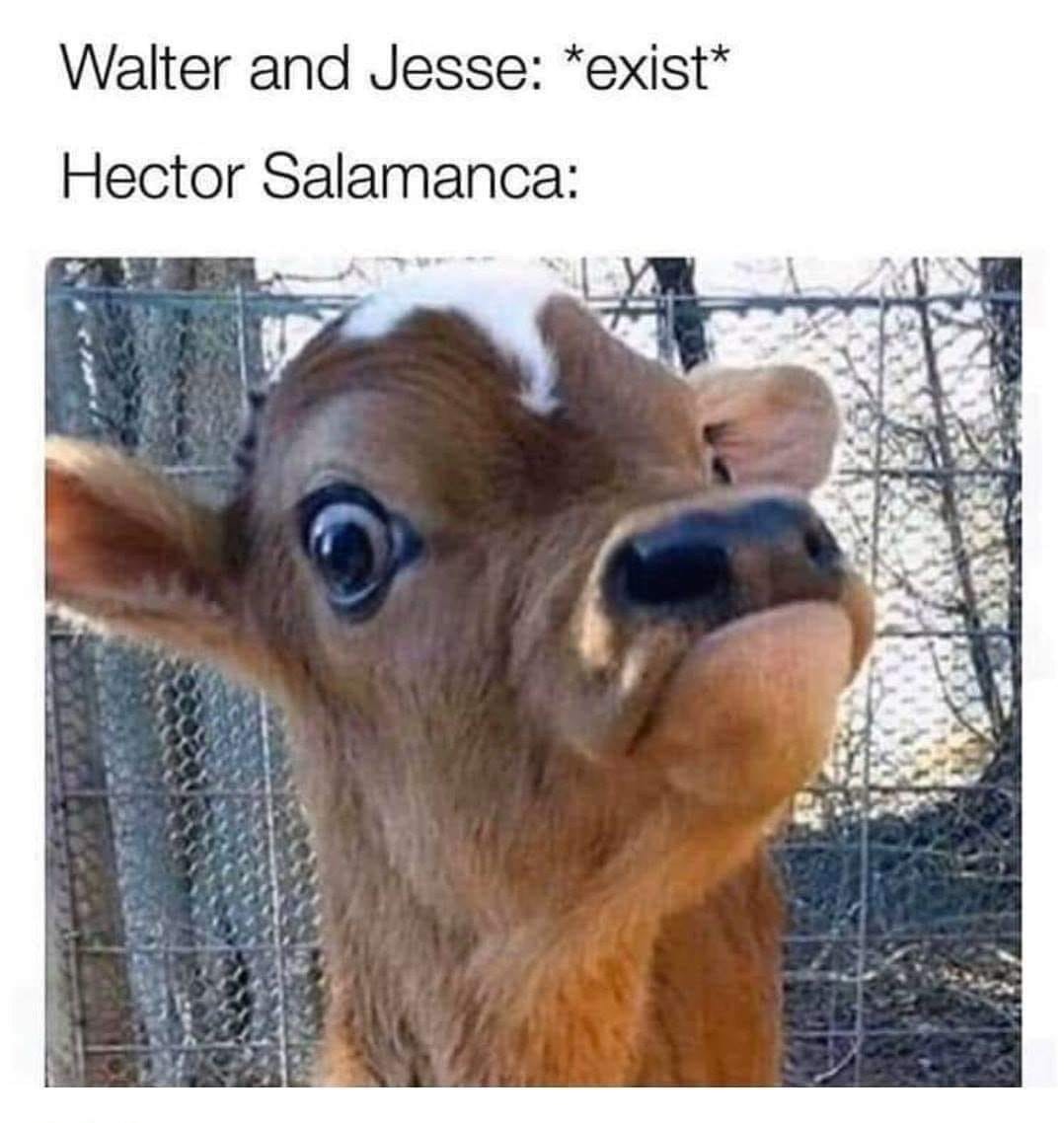 Walter and Jesse exist Hector Salamanca