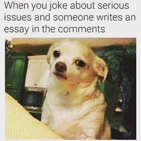 pissed off dog meme - When you joke about serious issues and someone writes an essay in the