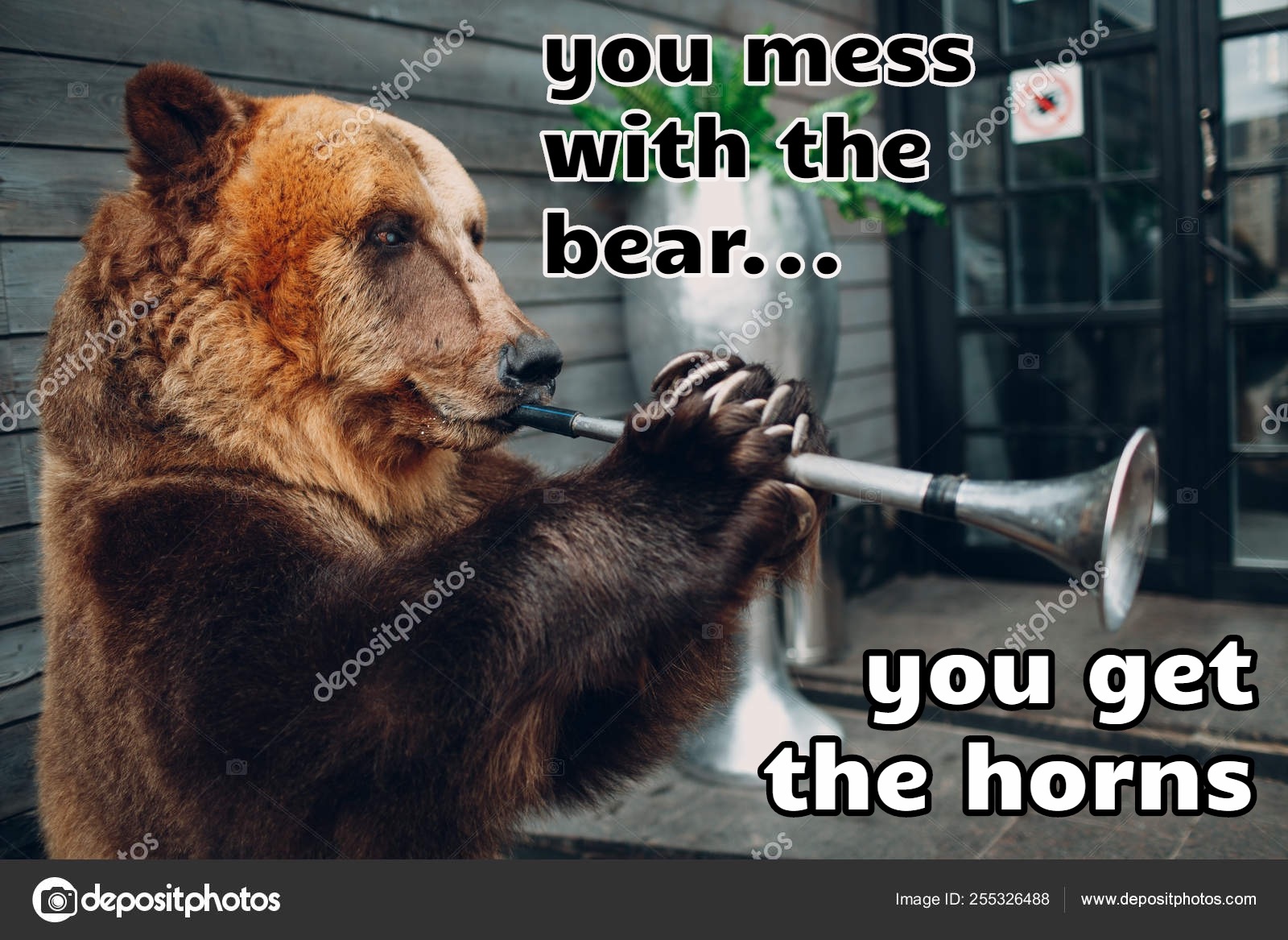 photo caption - ok positphotos you mess with the bear... zpose otos hotos depositphotos itphotos depositphotos you get the horns Os depositphotos Image Id 256326488