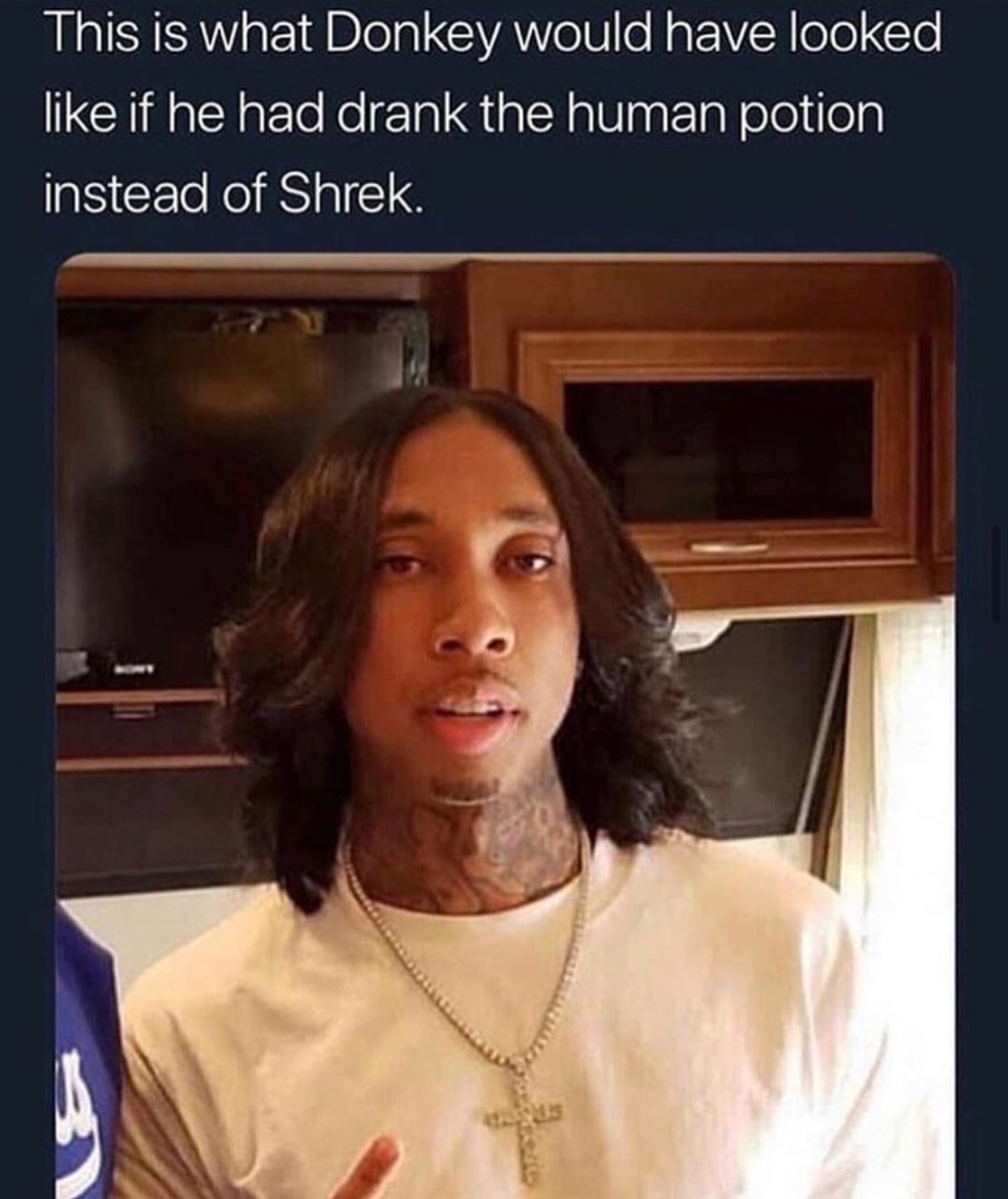 tyga blowout hair - This is what Donkey would have looked if he had drank the human potion instead of Shrek