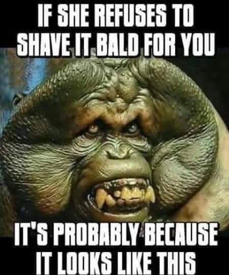funny vagina memes - If She Refuses To Shave It Bald For You It'S Probably Because It Looks This