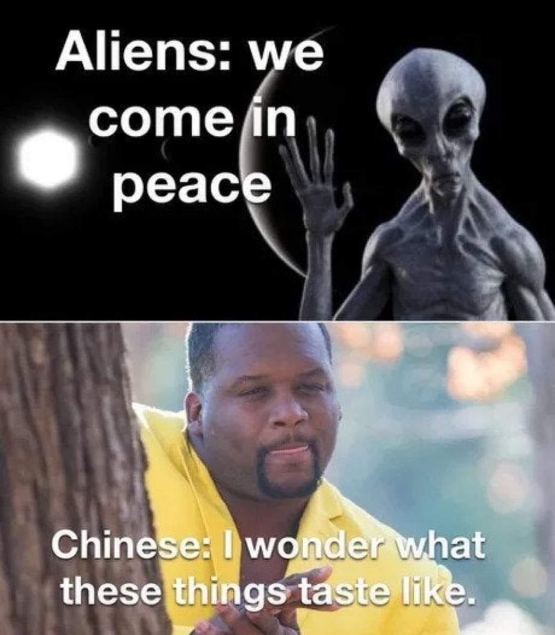 alien chinese meme - Aliens we come in le peace Chinese I wonder what these things taste .