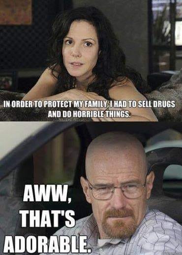 nancy botwin meme - In Order To Protect My Family, I Had To Sell Drugs And Do Horrible Things. Aww, That'S Adorable.