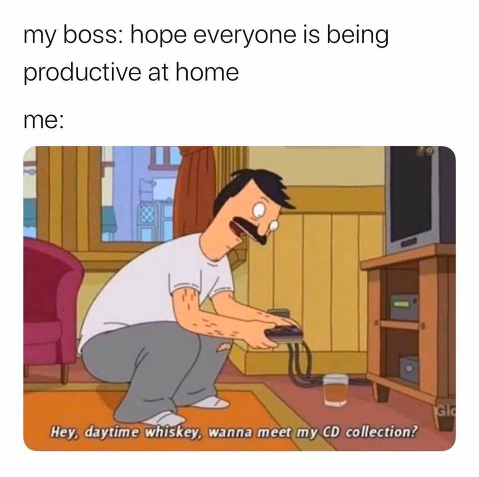 you finally get a day off meme - my boss hope everyone is being productive at home me Hey, daytime whiskey, wanna meet my Cd collection?