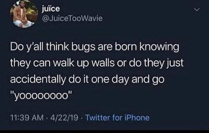 funny tweets on twitter - juce Do y'all think bugs are born knowing they can walk up walls or do they just accidentally do it one day and go "yooo00000" .42219. Twitter for iPhone