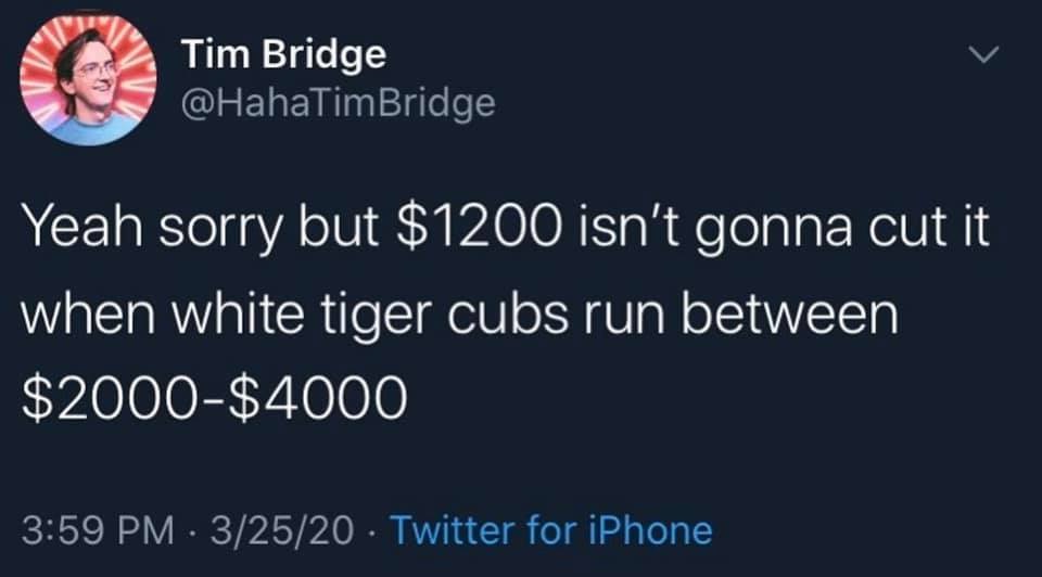 Tim Bridge Yeah sorry but $1200 isn't gonna cut it when white tiger cubs run between $2000$4000 . 32520 Twitter for iPhone