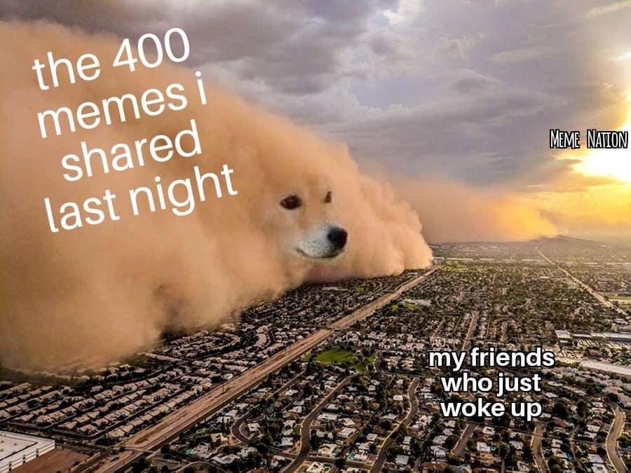 dust storm dog meme - the 400 memes i shared last night - my friends who just woke up