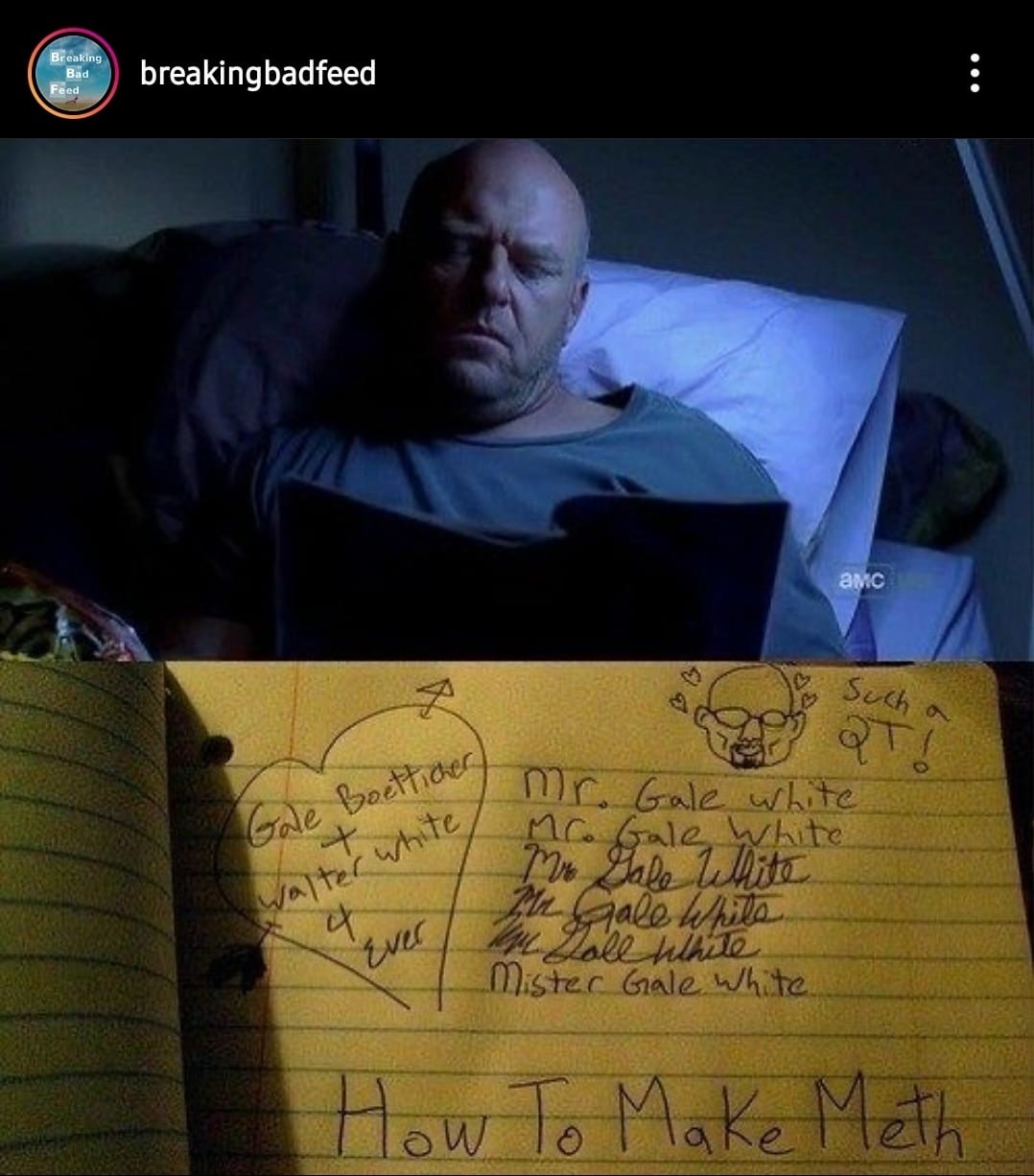 breaking bad gale memes - Breaking Bad Feed breakingbadfeed Amc o such a tiche to mr Gale white Valter white t hite Motale White 2 Hale w ith wale whilo everly Lole white Mister Gale White. How To Make Meth