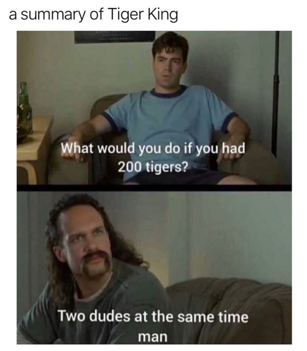 photo caption - a summary of Tiger King What would you do if you had 200 tigers? Two dudes at the same time man