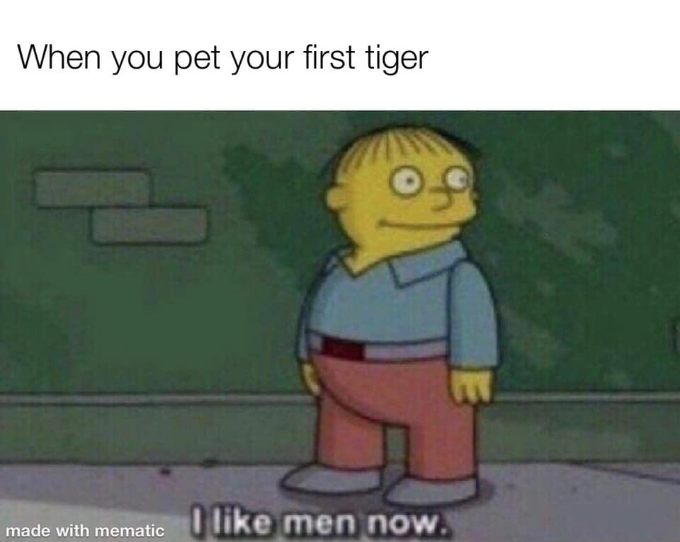 like men now simpsons - When you pet your first tiger made with mematic men now.