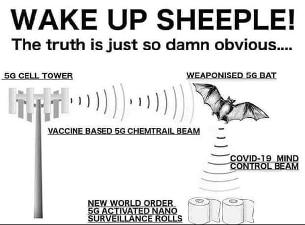 diagram - Wake Up Sheeple! The truth is just so damn obvious.... 5G Cell Tower Weaponised 5G Bat Vaccine Based 5G Chemtrail Beam Covid19 Mind Control Beam New World Order 5G Activated Nano Surveillance Rolls