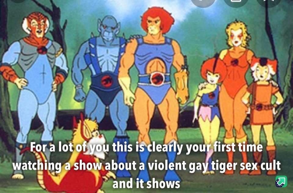thundercats 80s cartoons - For a lot of you this is clearly your first time watching a show about a violent gay tiger sex cult and it shows