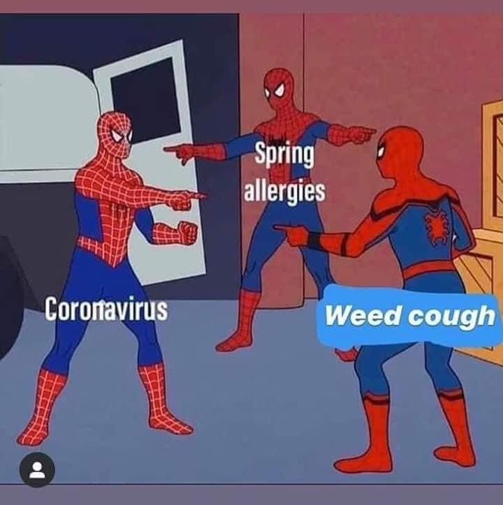 coronavirus spiderman meme - Spring allergies Coronavirus Weed cough