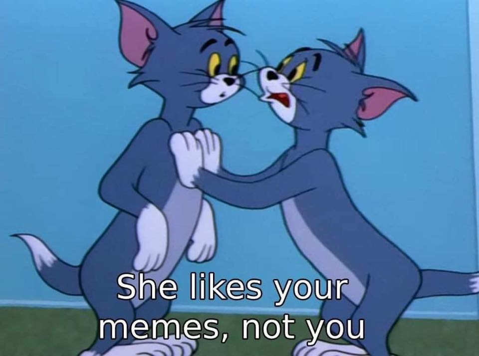 timid tabby tom and jerry - She your memes, not you