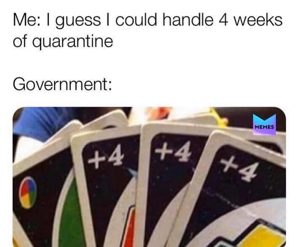 Me I guess I could handle 4 weeks of quarantine Government Memes 4