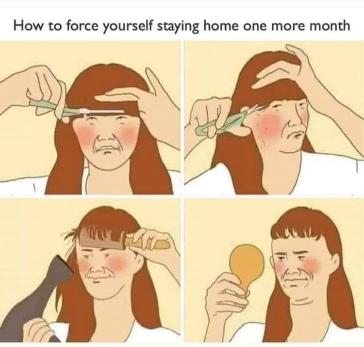 cartoon - How to force yourself staying home one more month