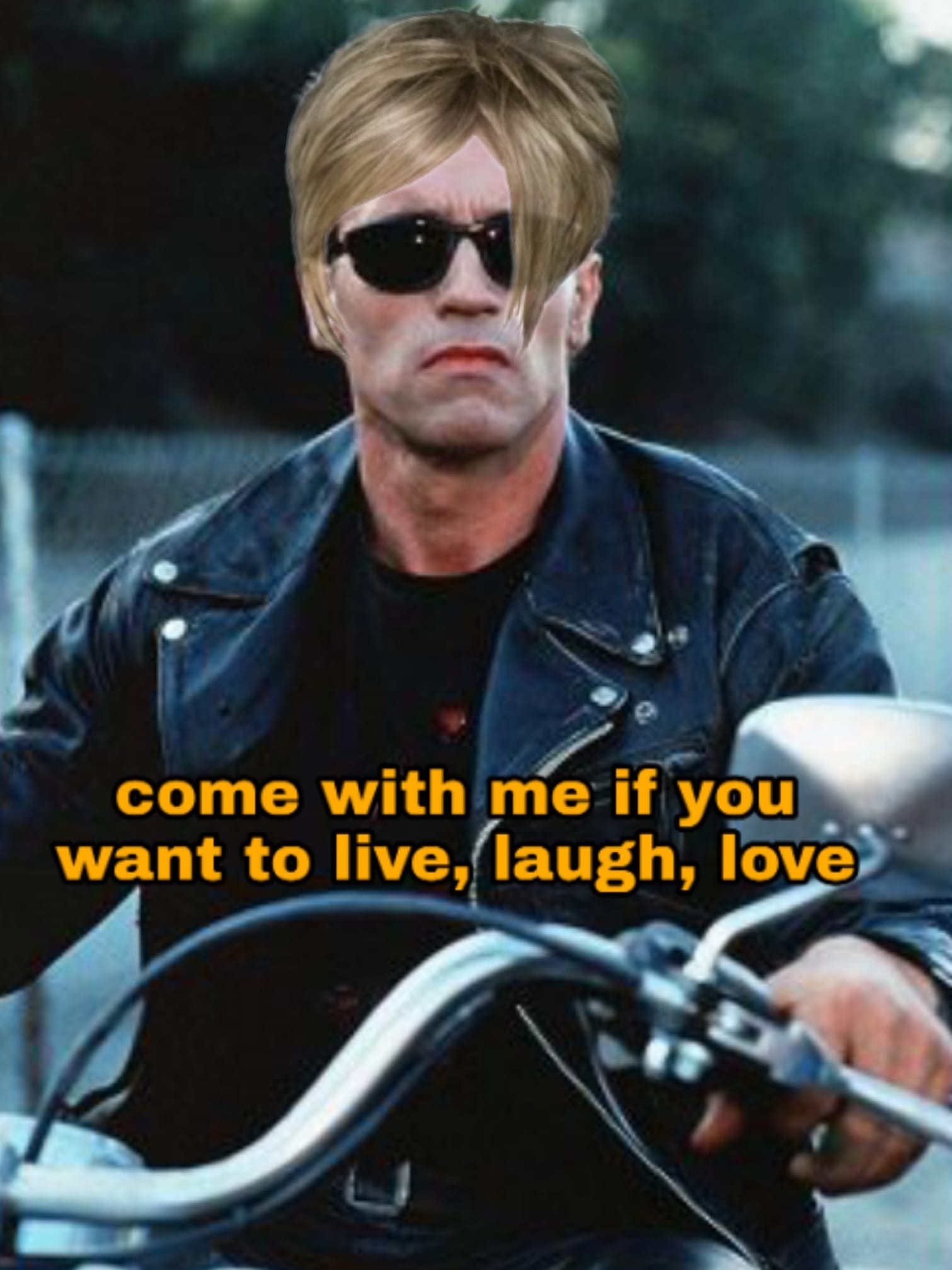 arnold schwarzenegger in terminator 2 - come with me if you want to live, laugh, love