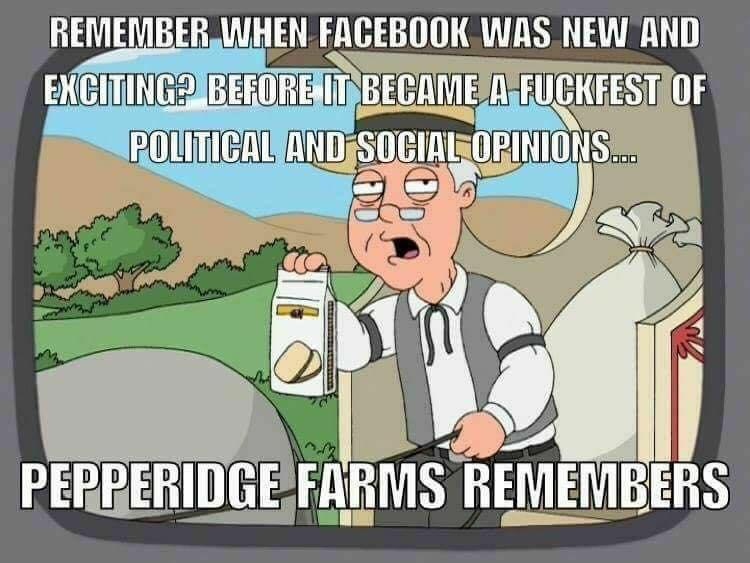 pepperidge farm meme - Remember When Facebook Was New And Exciting? Before It Became A Fuckfest Of Political And Social Opinions... Pepperidge Farms Remembers