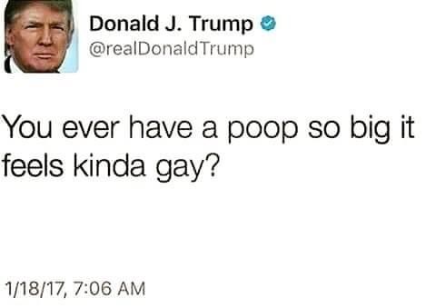 Donald J. Trump Trump You ever have a poop so big it feels kinda gay? 11817,