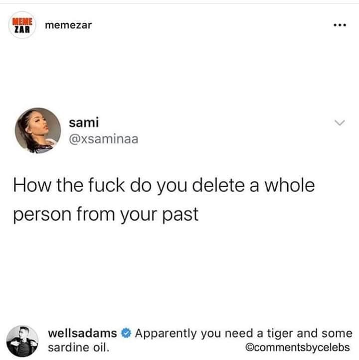 document - Meme memezar sami How the fuck do you delete a whole person from your past wellsadams Apparently you need a tiger and some sardine oil. bycelebs