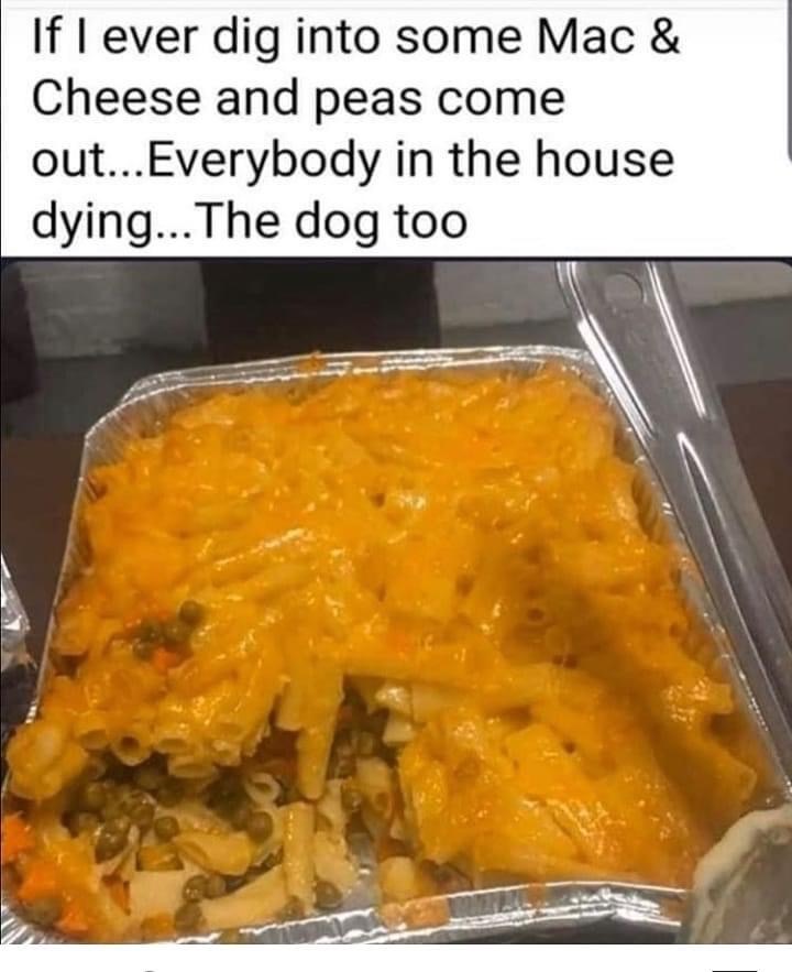 struggle plates - If I ever dig into some Mac & Cheese and peas come out...Everybody in the house dying... The dog too