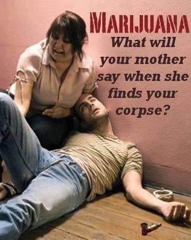 marijuana what will your mother say when she finds your corpse - Marijuana What will your mother say when she finds your corpse?