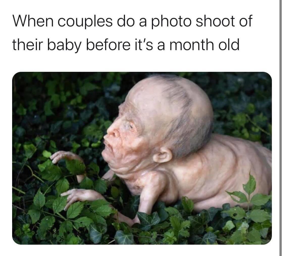baby hybrid tick - When couples do a photo shoot of their baby before it's a month old