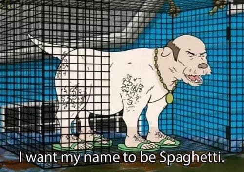 aqua teen hunger force spaghetti - I want my name to be Spaghetti.