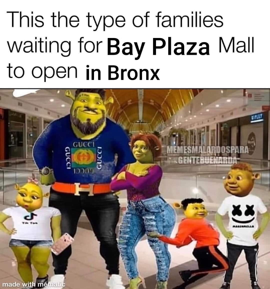 princess fiona - This the type of families waiting for Bay Plaza Mall to open in Bronx Uitlet Gucci Gucci Gucci Memesmalardos Para Pungenteruenart 10 made with mematic