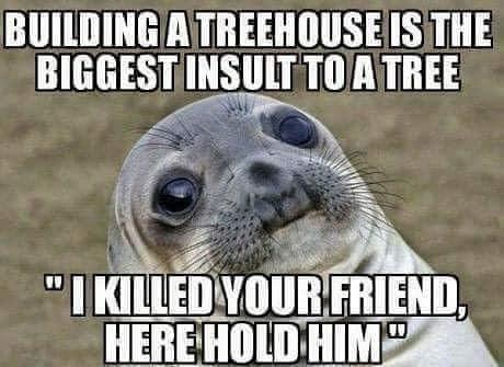 aeropuerto el dorado - Building A Treehouse Is The Biggest Insult To A Tree "Ikilled Your Friend, Here Hold Him