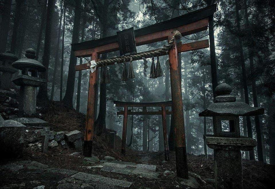 dark japanese shrine