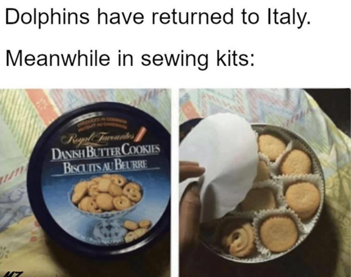dolphins return to italy meme - Dolphins have returned to Italy. Meanwhile in sewing kits Ruml Frumurile Danish Butter Cookies Biscuits Au Beurre