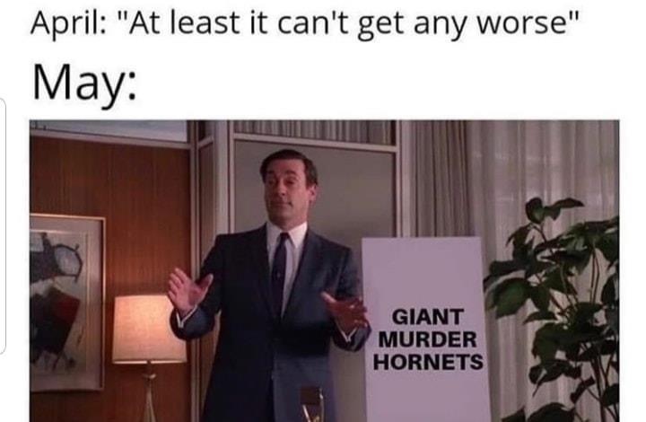 don draper life cereal meme - April "At least it can't get any worse" May Giant Murder Hornets