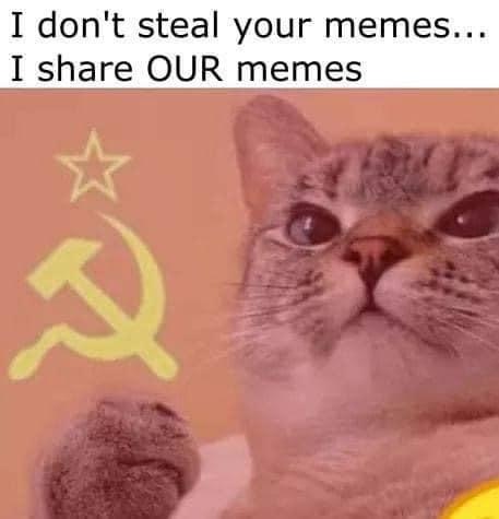 Internet meme - I don't steal your memes... I Our memes