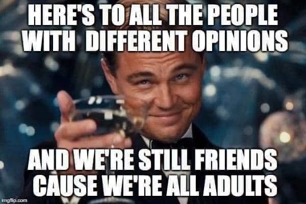 defending yourself memes - Here'S To All The People With Different Opinions And We'Re Still Friends Cause We'Re All Adults .