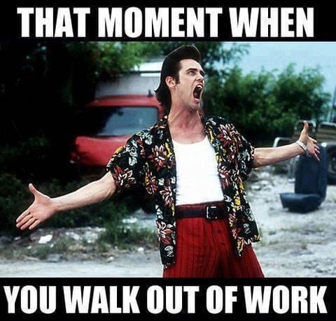jim carrey ace ventura pet detective That Moment When You Walk Out Of Work