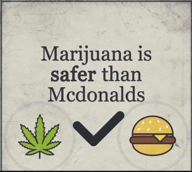 Marijuana is safer than Mcdonalds