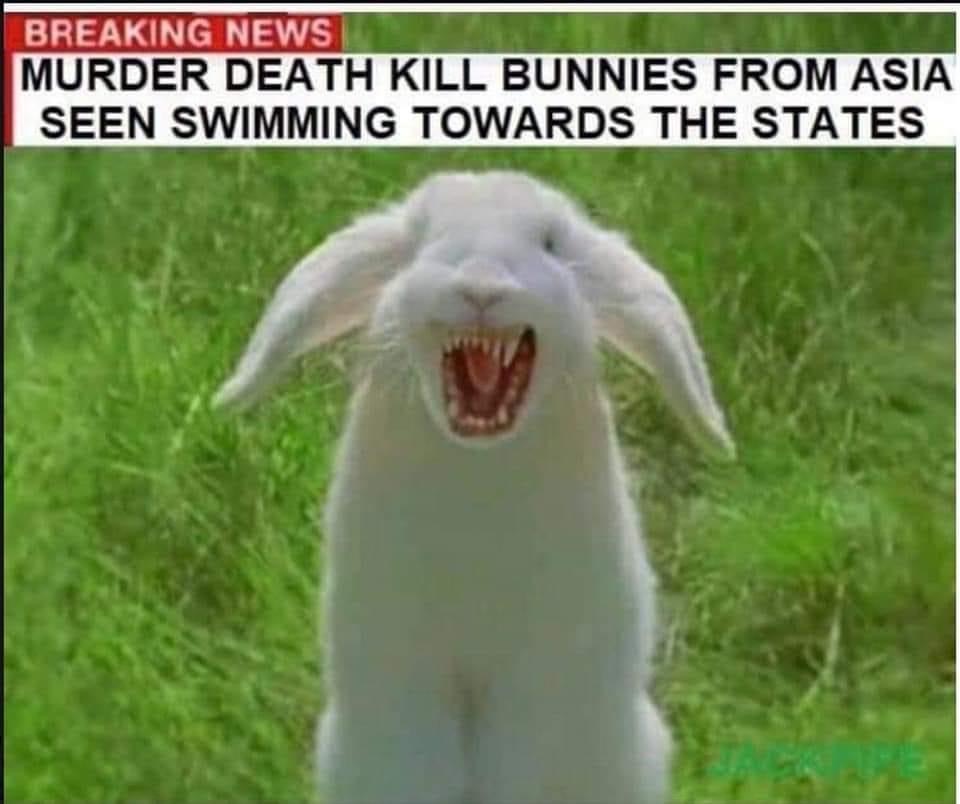 real evil bunny - Breaking News Murder Death Kill Bunnies From Asia Seen Swimming Towards The States
