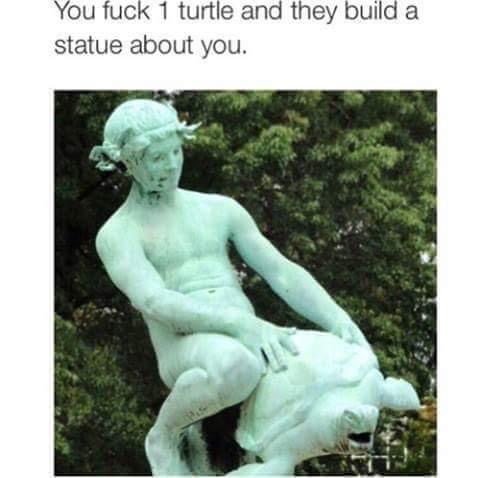 you fuck one turtle - You fuck 1 turtle and they build a statue about you.
