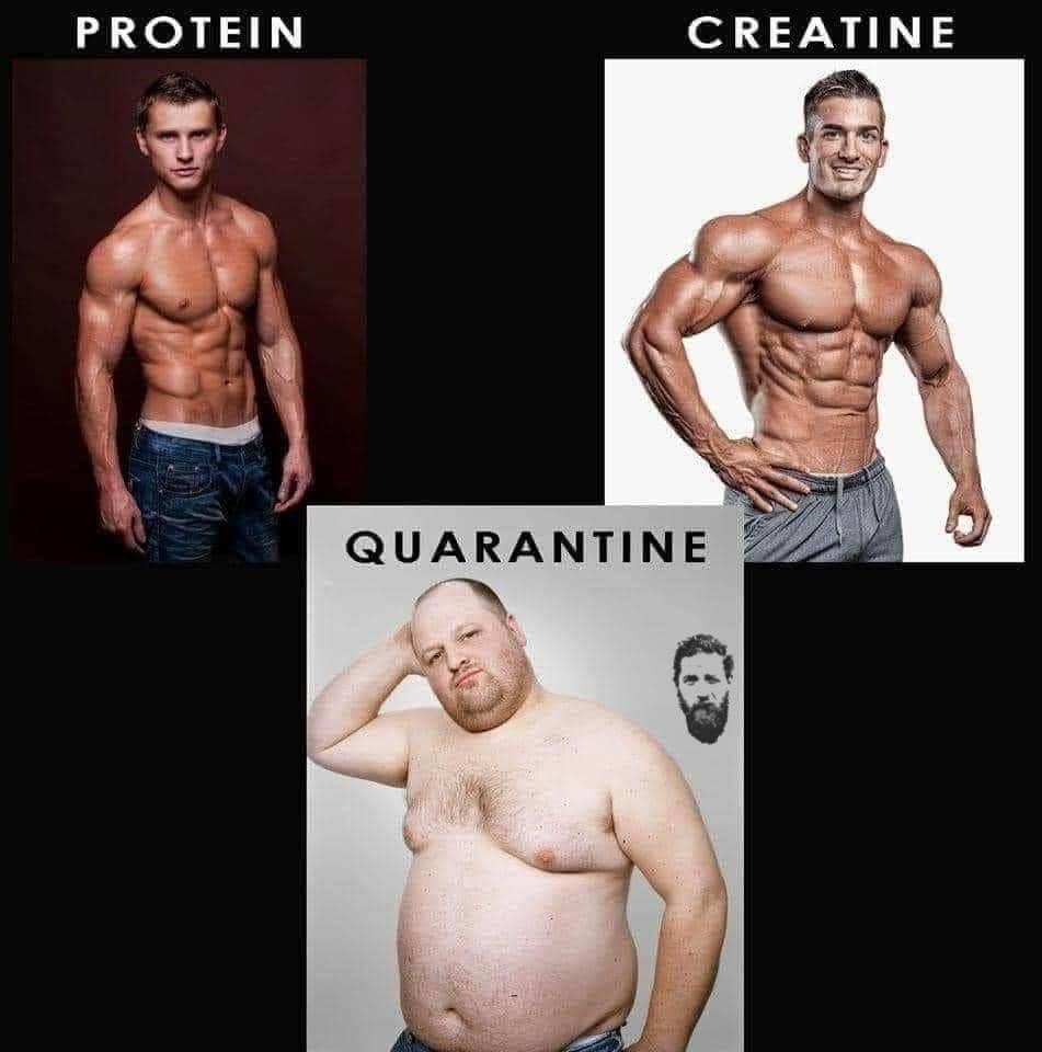 protein creatine quarantine meme - Protein Creatine Quarantine