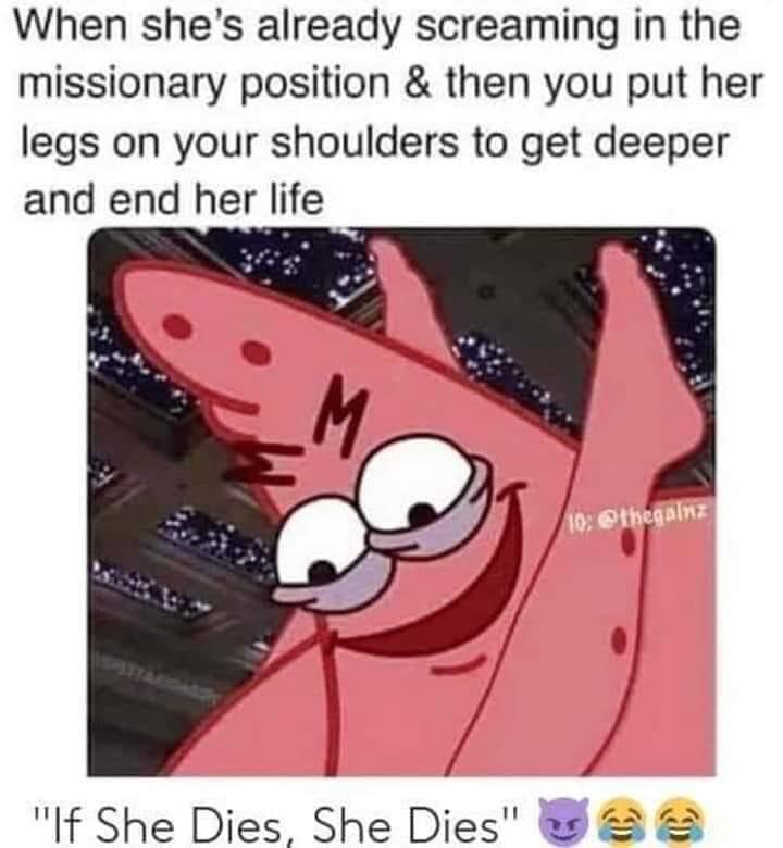 missionary position missionary meme - When she's already screaming in the missionary position & then you put her legs on your shoulders to get deeper and end her life 10 "If She Dies, She Dies"