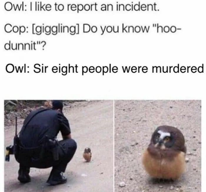 sir eight people were murdered - Owl I to report an incident. Cop giggling Do you know "hoo dunnit"? Owl Sir eight people were murdered