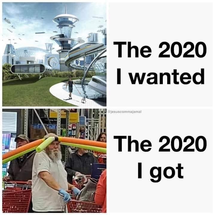pool noodle guy meme - The 2020 I wanted ejesus commojamal The 2020 I got