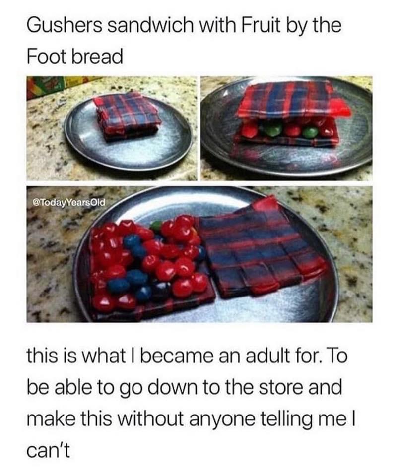 fruit snack memes - Gushers sandwich with Fruit by the Foot bread this is what I became an adult for. To be able to go down to the store and make this without anyone telling mel can't